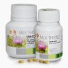 MILK THISTLE